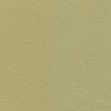Enduratex Independence Baby Greens 8752 Upholstery Fabric