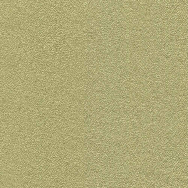 Enduratex Independence Baby Greens 8752 Upholstery Fabric