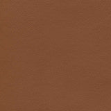 Sample of Enduratex Independence Barn Owl 8753 Upholstery Fabric