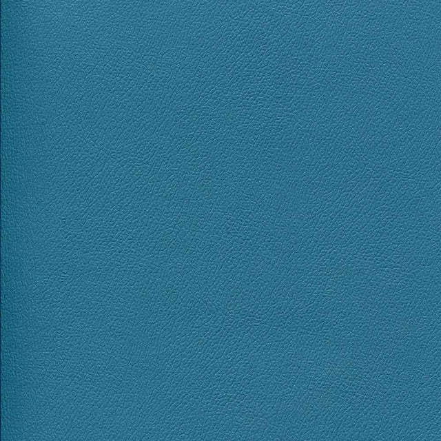 Sample of Enduratex Independence Cabana Boy 8758 Upholstery Fabric