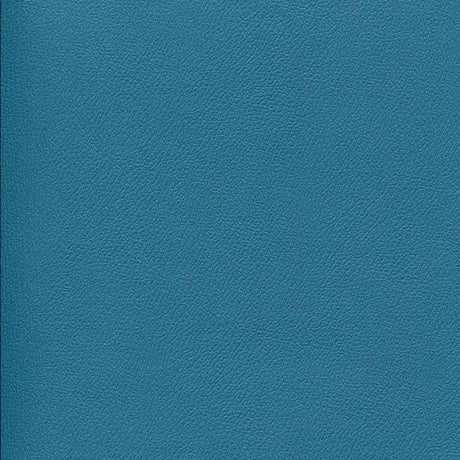 Enduratex Independence Cabana Boy 8758 Upholstery Fabric