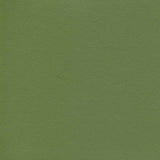 Sample of Enduratex Independence Dusty Olive 8764 Upholstery Fabric