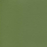 Enduratex Independence Dusty Olive 8764 Upholstery Fabric