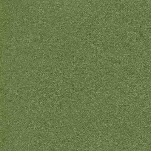 Enduratex Independence Dusty Olive 8764 Upholstery Fabric