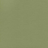 Enduratex Independence Echo Valley 8765 Upholstery Fabric