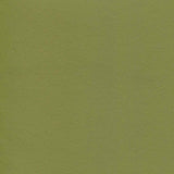 Enduratex Independence Leaf Me Be 8770 Upholstery Fabric
