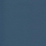 Enduratex Independence Slate Escape 8775 Upholstery Fabric