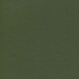 Enduratex Independence Thyme Is Money 8777 Upholstery Fabric