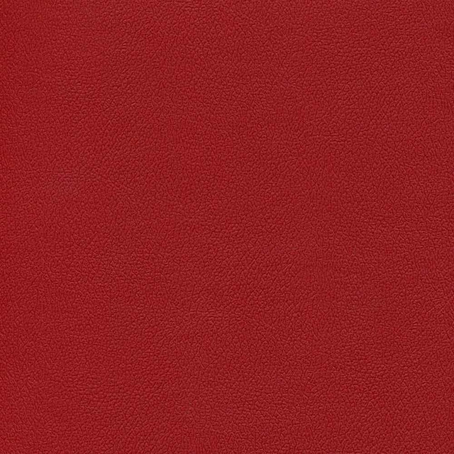 Sample of Enduratex Independence Toying With Trouble 8778 Upholstery Fabric