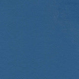 Sample of Enduratex Independence Tropical Storm 8779 Upholstery Fabric
