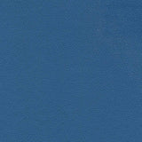 Enduratex Independence Tropical Storm 8779 Upholstery Fabric