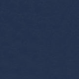 Sample of Softside Islander 9158 Silver Blue Marine Upholstery Fabric