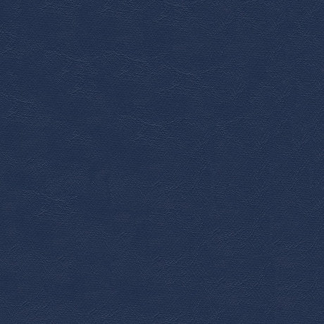 Sample of Softside Islander 9158 Silver Blue Marine Upholstery Fabric