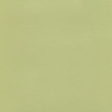 Enduratex Brushed Aluminum Lime Green 400 Upholstery Fabric