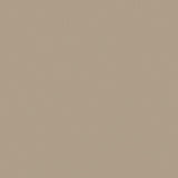 Mayer Apollo Silicone Latte SAP-027 Upholstery Fabric