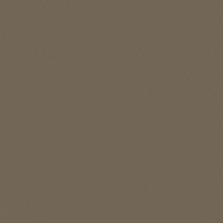 Mayer Apollo Silicone Shiitake SAP-030 Upholstery Fabric