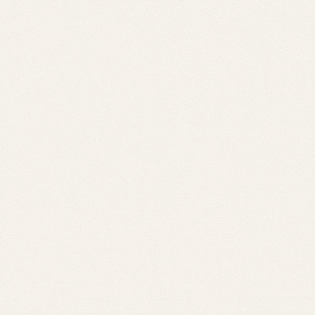 Mayer Apollo Silicone Snow SAP-057 Upholstery Fabric
