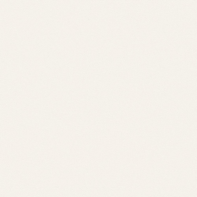Mayer Apollo Silicone Snow SAP-057 Upholstery Fabric