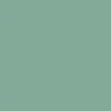 Mayer Apollo Silicone Spa SAP-034 Upholstery Fabric