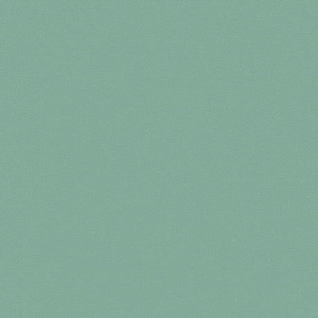 Mayer Apollo Silicone Spa SAP-034 Upholstery Fabric