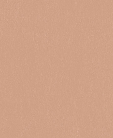 Mayer Caressa Cameo Ca - 061 Upholstery Fabric - Outdoor Textiles