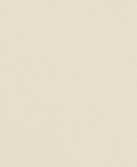 Mayer Caressa Pearl Ca - 137 Upholstery Fabric - Outdoor Textiles