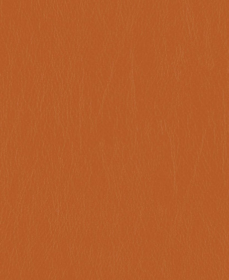 Mayer Caressa Tangerine Ca - 039 Upholstery Fabric - Outdoor Textiles