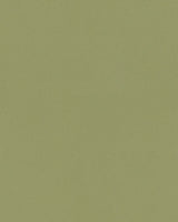 Mayer Durango Jade DU-023 Cambridge Coordinates Collection Upholstery Fabric