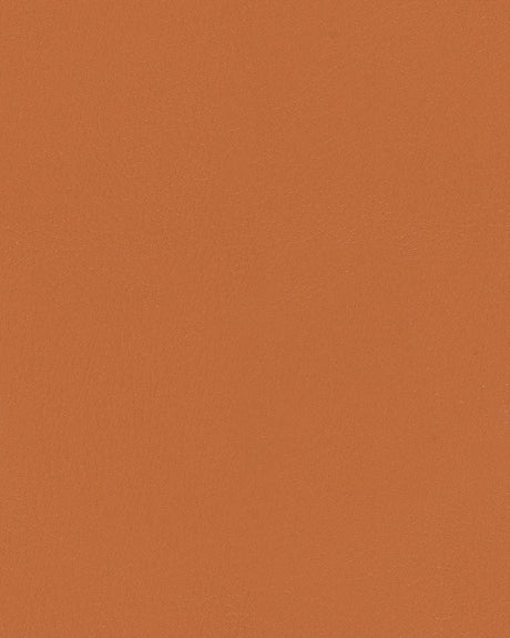 Mayer Durango Sepia DU-019 Cambridge Coordinates Collection Upholstery Fabric