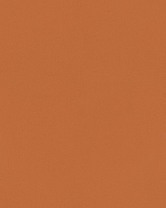 Mayer Durango Sepia DU-019 Cambridge Coordinates Collection Upholstery Fabric