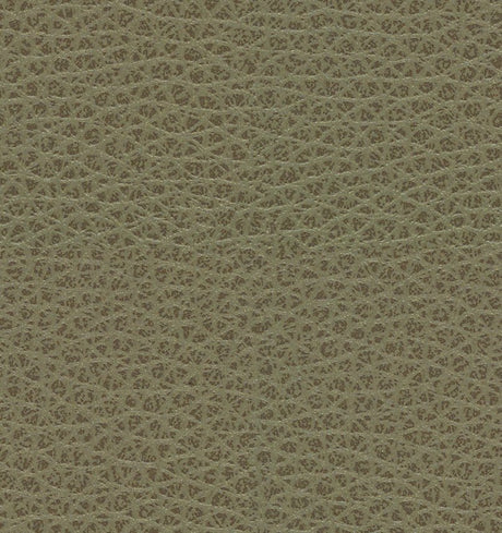 Mayer Maverick Cliff MK-026 Upholstery Fabric