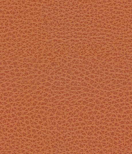 Mayer Maverick Terra Cotta MK-009 Upholstery Fabric