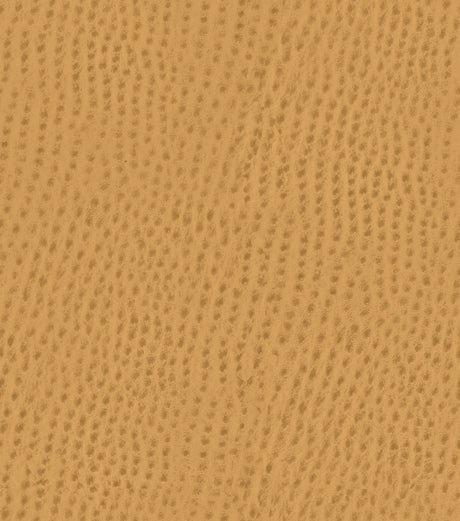 Mayer Outback Caramel OB-017 Upholstery Fabric