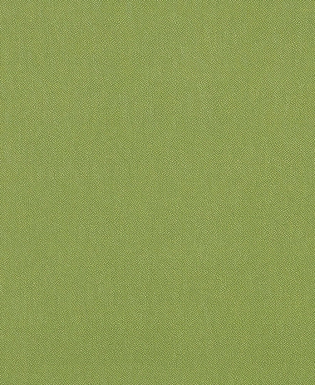 Mayer Silverweave Lime Sw - 043 Upholstery Fabric - Outdoor Textiles
