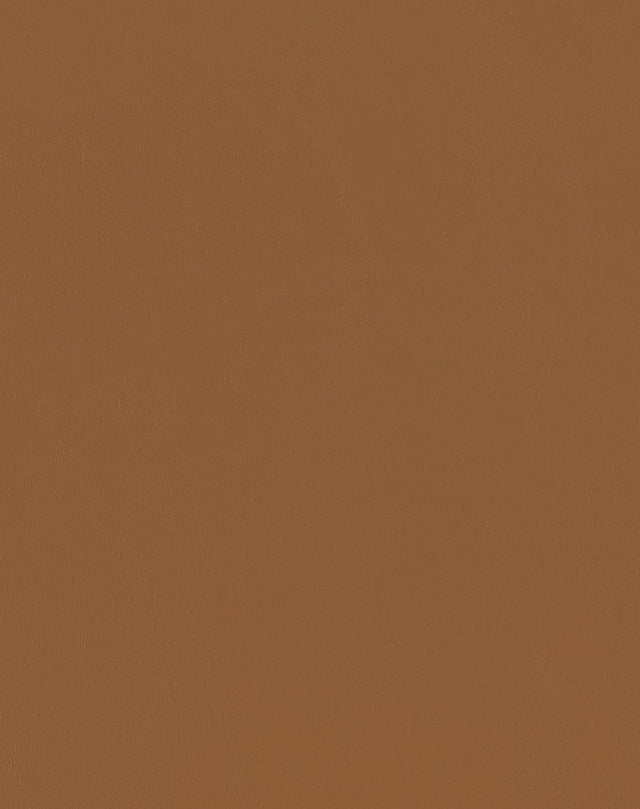 Mayer Spartan Caramel SN-020 Craftsman Collection Upholstery Fabric