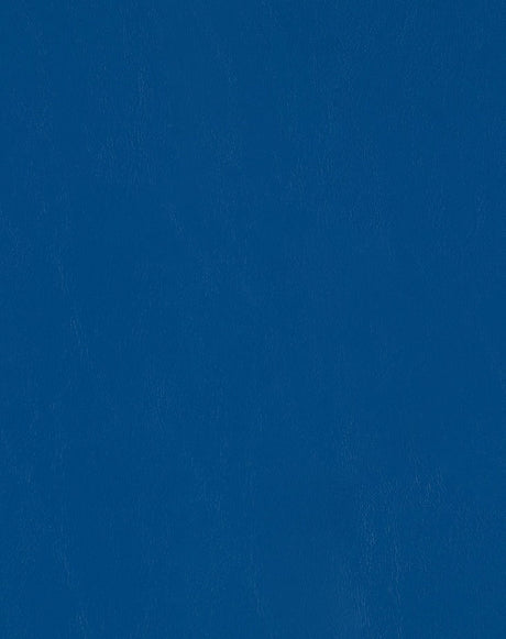 Mayer Spartan Cobalt SN-034 Craftsman Collection Upholstery Fabric