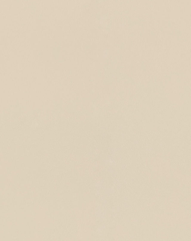 Mayer Spartan Cream SN-057 Craftsman Collection Upholstery Fabric