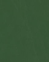 Mayer Spartan Parsley SN-013 Craftsman Collection Upholstery Fabric