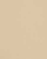Mayer Spartan Travertine SN-097 Craftsman Collection Upholstery Fabric