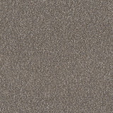 Sample of Mayer Belize Driftwood 326-000 Getaway Collection Upholstery Fabric