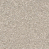 Sample of Mayer Belize Shell 326-007 Getaway Collection Upholstery Fabric