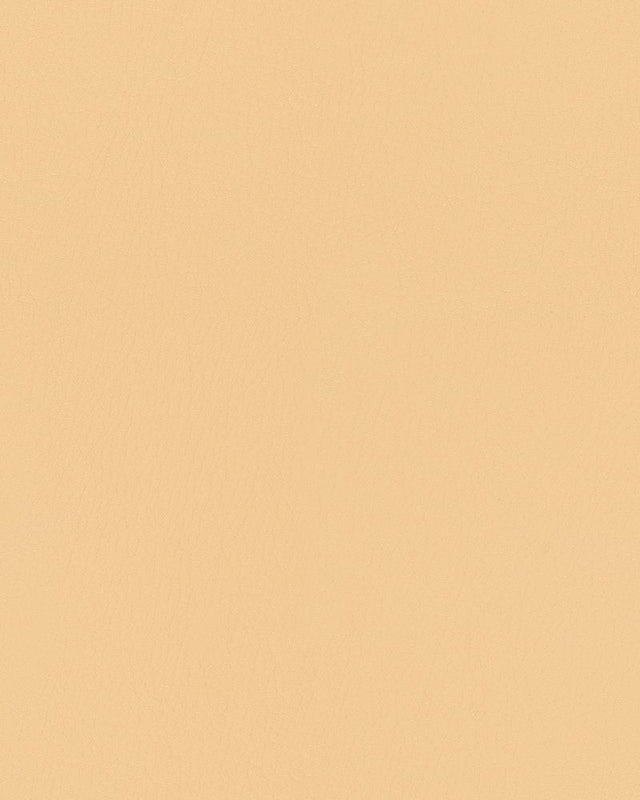 Mayer Durango Chamois DU-002 Cambridge Coordinates Collection Upholstery Fabric