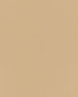 Mayer Durango Natural DU-007 Cambridge Coordinates Collection Upholstery Fabric