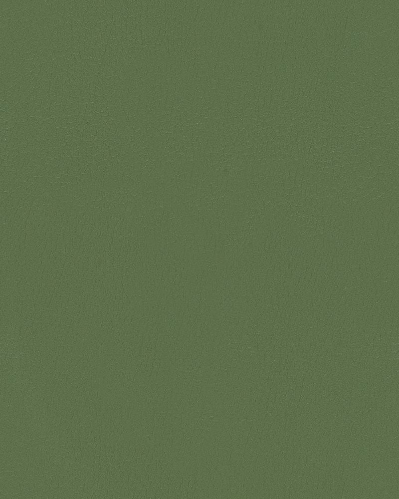 Mayer Durango Basil DU-013 Cambridge Coordinates Collection Upholstery Fabric