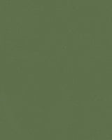 Mayer Durango Basil DU-013 Cambridge Coordinates Collection Upholstery Fabric