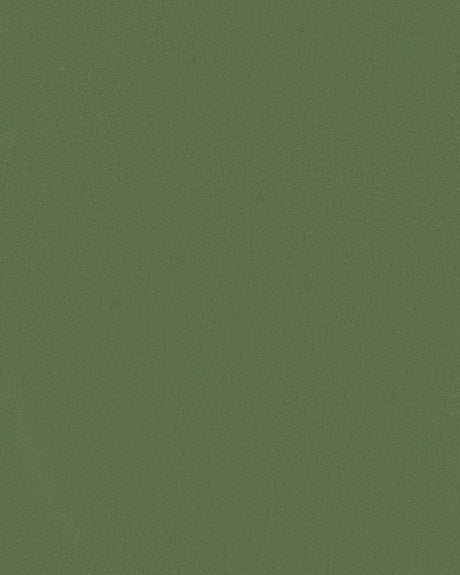 Mayer Durango Basil DU-013 Cambridge Coordinates Collection Upholstery Fabric