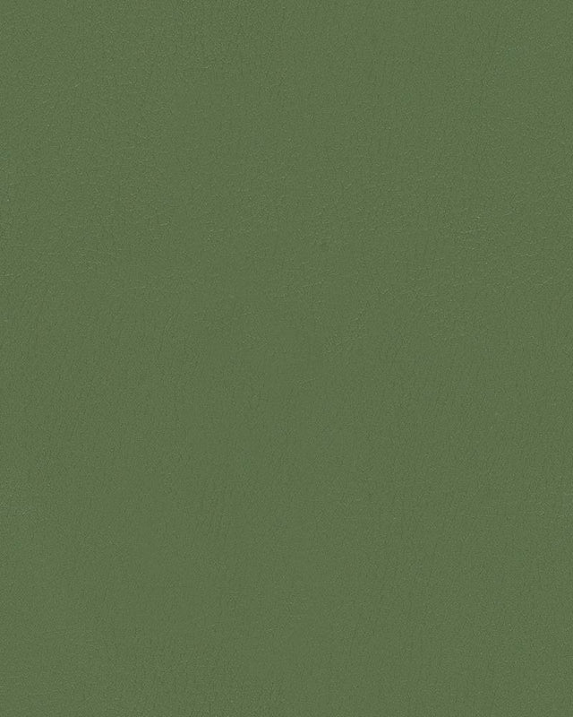 Mayer Durango Basil DU-013 Cambridge Coordinates Collection Upholstery Fabric