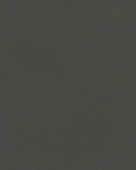 Mayer Durango Char DU-016 Cambridge Coordinates Collection Upholstery Fabric