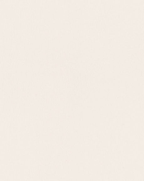 Mayer Durango Alabaster DU-017 Cambridge Coordinates Collection Upholstery Fabric