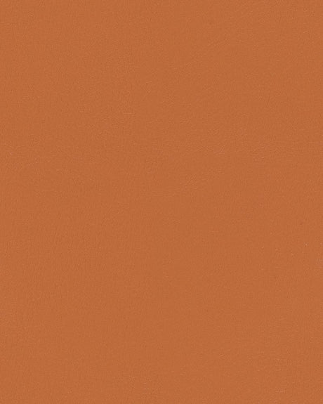 Mayer Durango Sepia DU-019 Cambridge Coordinates Collection Upholstery Fabric